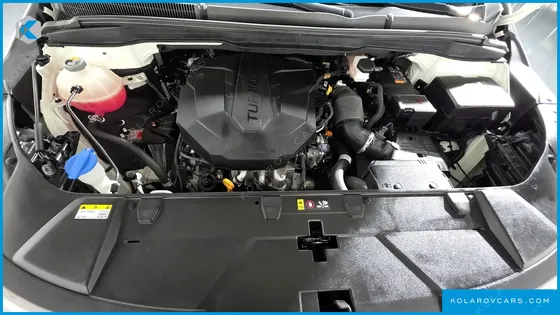 KIA CARNIVAL DIESEL 9-SEATER SIGNATURE