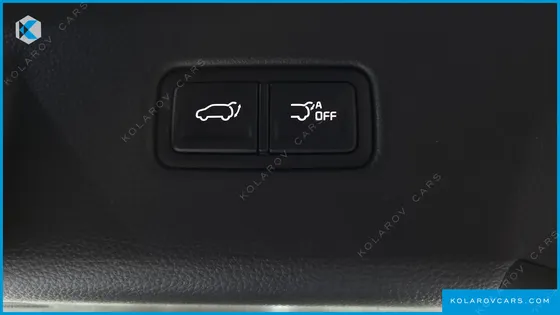 KIA CARNIVAL DIESEL 9-SEATER SIGNATURE