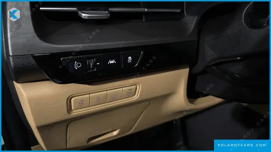 KIA CARNIVAL DIESEL 9-SEATER SIGNATURE