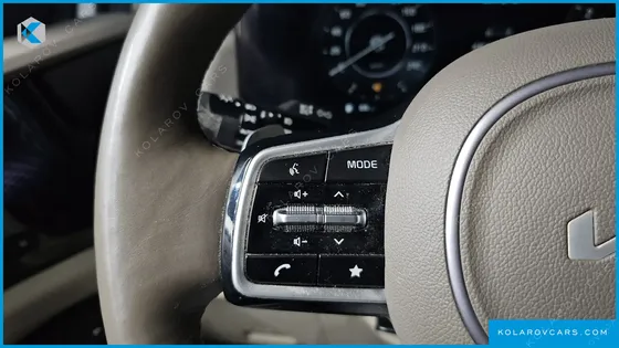 KIA CARNIVAL GASOLINE 9-SEATER HI-LIMOUSINE
