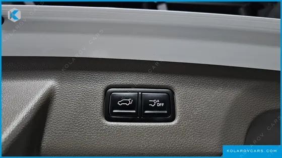 KIA CARNIVAL GASOLINE 9-SEATER HI-LIMOUSINE