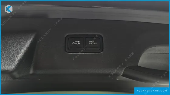 KIA CARNIVAL HEV 9SEATER NOBLESS