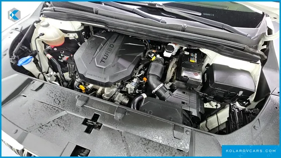 KIA CARNIVAL DIESEL 11-SEATER SIGNATURE