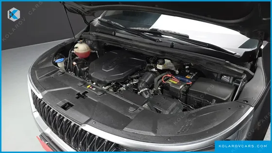 KIA CARNIVAL DIESEL 9-SEATER HI-LIMOUSINE(SPECIAL VEHICLE)