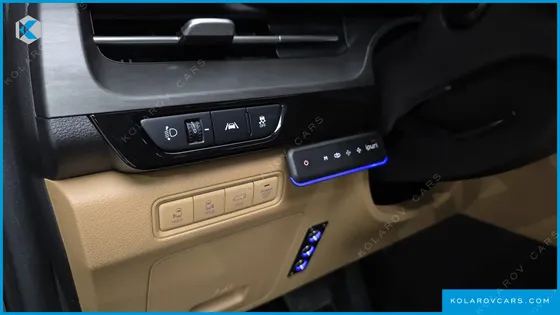 KIA CARNIVAL DIESEL 9-SEATER HI-LIMOUSINE(SPECIAL VEHICLE)