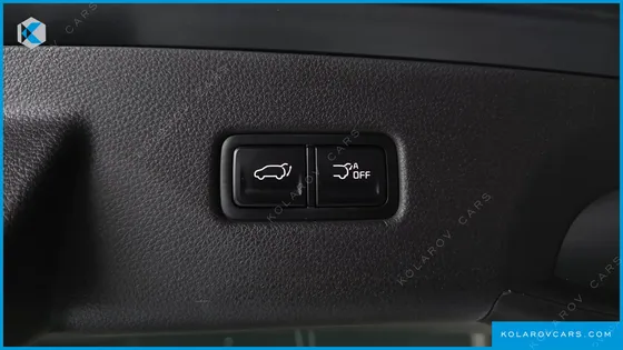 KIA CARNIVAL DIESEL 9-SEATER HI-LIMOUSINE(SPECIAL VEHICLE)