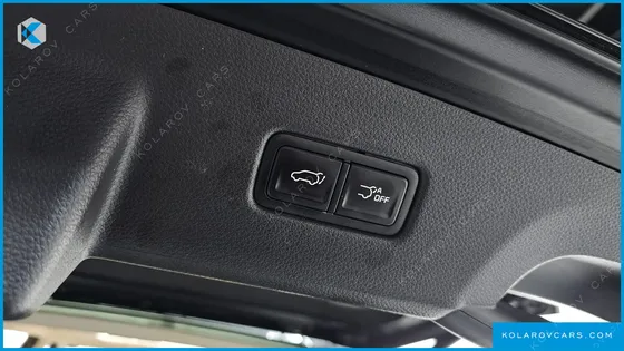 KIA CARNIVAL GASOLINE 9-SEATER NOBLESSE