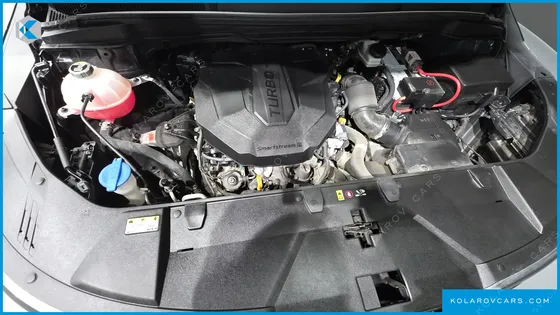 KIA CARNIVAL DIESEL 9-SEATER HI-LIMOUSINE(SPECIAL VEHICLE)