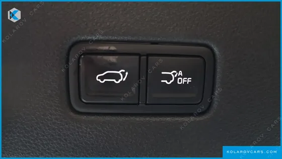 KIA CARNIVAL DIESEL 9-SEATER HI-LIMOUSINE(SPECIAL VEHICLE)
