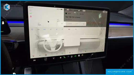 TESLA MODEL Y LONG RANGE AWD