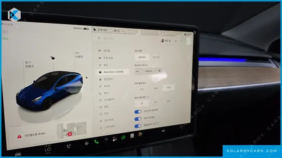 TESLA MODEL Y LONG RANGE AWD
