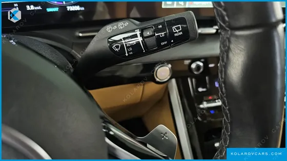 KIA CARNIVAL GASOLINE 9-SEATER NOBLESSE