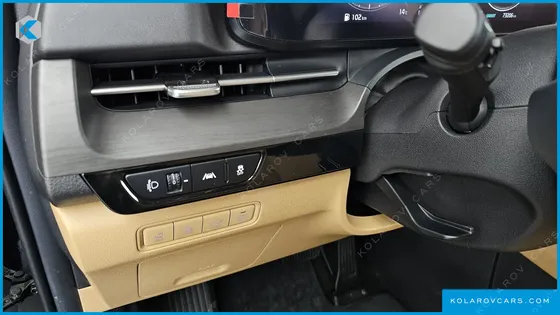 KIA CARNIVAL GASOLINE 9-SEATER NOBLESSE