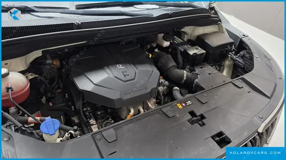 KIA CARNIVAL DIESEL 9-SEATER SIGNATURE