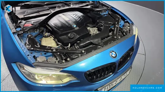 BMW M2 M2 COUPE M PERFORMANCE STEERING WHEEL EDITION