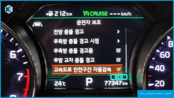 KIA CARNIVAL GASOLINE 9-SEATER HI-LIMOUSINE