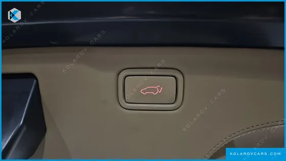 KIA CARNIVAL GASOLINE 9-SEATER LIMOUSINE(SPECIAL VEHICLE)