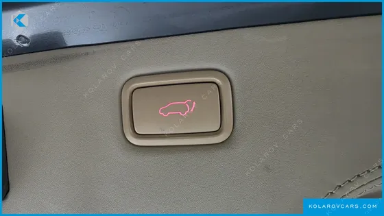 KIA CARNIVAL 9-SEATER LIMOUSINE(SPECIAL VEHICLE)