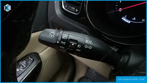 KIA CARNIVAL 9-SEATER LIMOUSINE(SPECIAL VEHICLE)