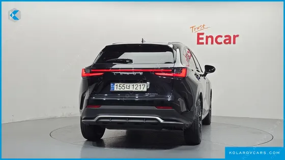 LEXUS NX F-SPORT