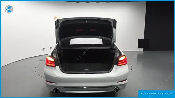 BMW 5 SERIES 530E LUXURY