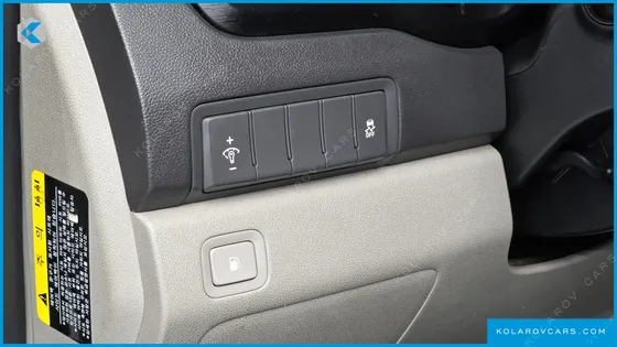 KIA CARNIVAL 9-SEATER LUXURY