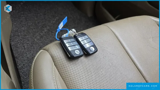 KIA CARNIVAL 7-SEATER LIMOUSINE