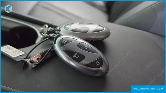 HYUNDAI SONATA EXCLUSIVE