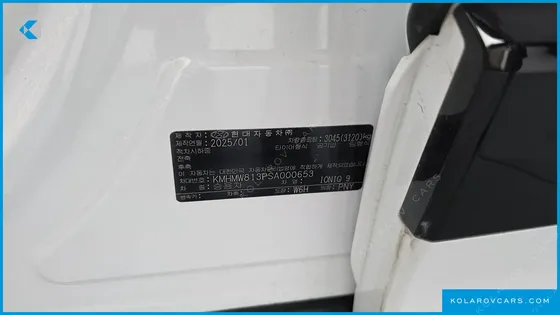 HYUNDAI IONIQ 9 CRUISE TYPE AWD