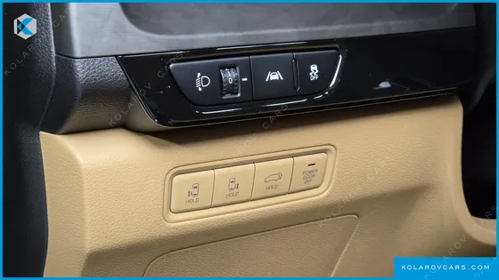 KIA CARNIVAL GASOLINE 9-SEATER SIGNATURE