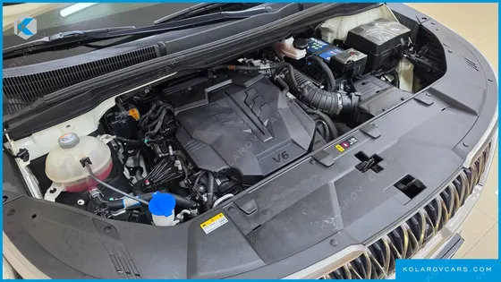 KIA CARNIVAL GASOLINE 9-SEATER HI-LIMOUSINE