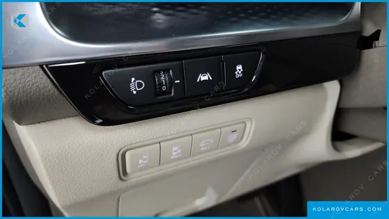 KIA CARNIVAL GASOLINE 9-SEATER HI-LIMOUSINE