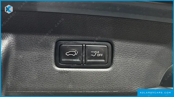 KIA CARNIVAL GASOLINE 9-SEATER SIGNATURE