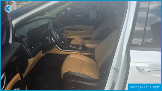KIA CARNIVAL DIESEL 9-SEATER SIGNATURE