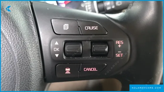 KIA CARNIVAL GASOLINE 7-SEATER HI-LIMOUSINE