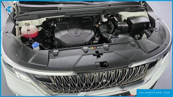 KIA CARNIVAL DIESEL 9-SEATER SIGNATURE