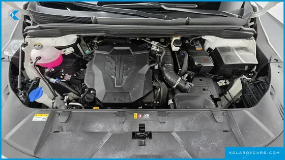 KIA CARNIVAL GASOLINE 7-SEATER HI-LIMOUSINE