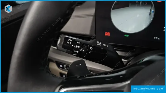 KIA CARNIVAL GASOLINE 9-SEATER NOBLESSE