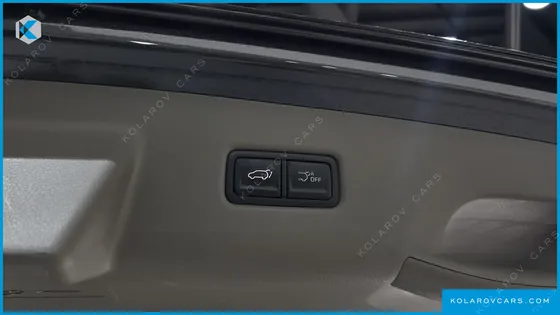 KIA CARNIVAL HEV 9SEATER SIGNATURE