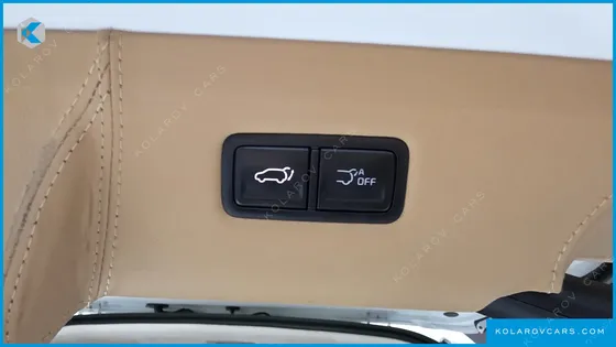 KIA CARNIVAL GASOLINE 9-SEATER HI LIMOUSINE (7-SEATER LIMOUSINE(SPECIAL VEHICLE)