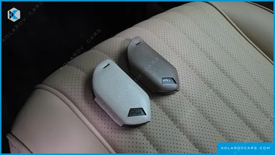 KIA CARNIVAL GASOLINE 9-SEATER HI LIMOUSINE (7-SEATER LIMOUSINE(SPECIAL VEHICLE)