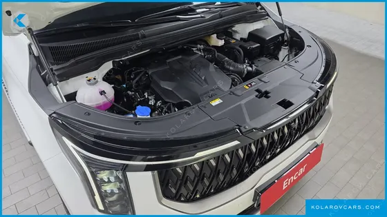KIA CARNIVAL GASOLINE 9-SEATER HI LIMOUSINE