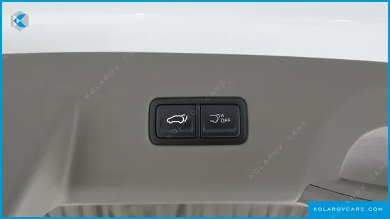 KIA CARNIVAL GASOLINE 9-SEATER HI LIMOUSINE