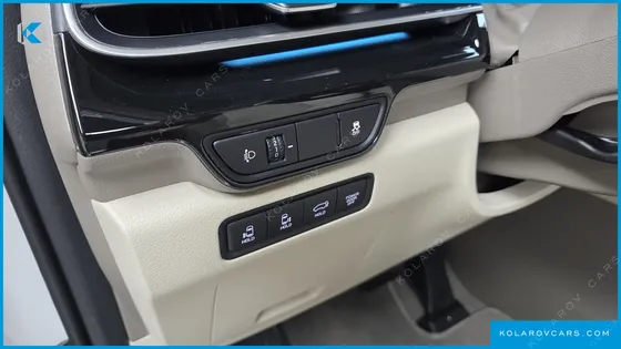 KIA CARNIVAL GASOLINE 9-SEATER HI LIMOUSINE