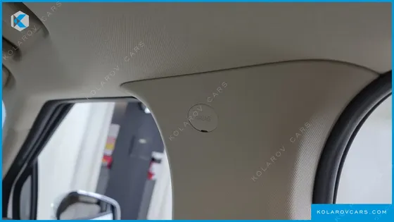 KIA CARNIVAL GASOLINE 9-SEATER HI LIMOUSINE