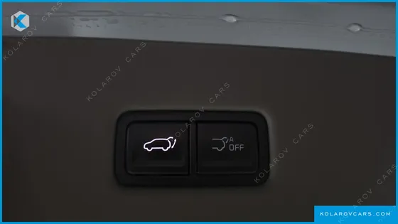KIA CARNIVAL GASOLINE 7-SEATER GRAVITY