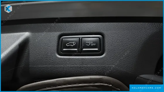 KIA CARNIVAL GASOLINE 9 SEATER X LINE