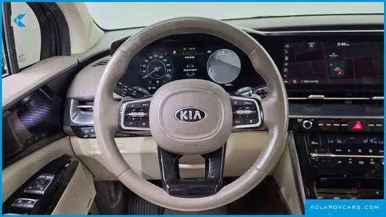 KIA CARNIVAL GASOLINE 9-SEATER HI-LIMOUSINE