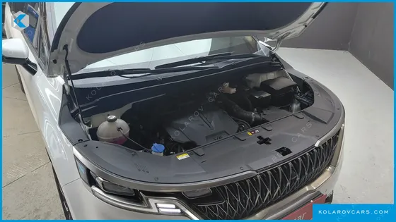 KIA CARNIVAL GASOLINE 9-SEATER SIGNATURE