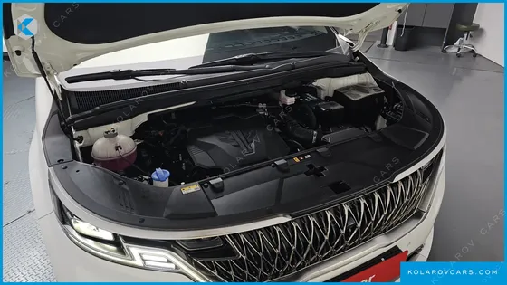 KIA CARNIVAL GASOLINE 9-SEATER HI-LIMOUSINE